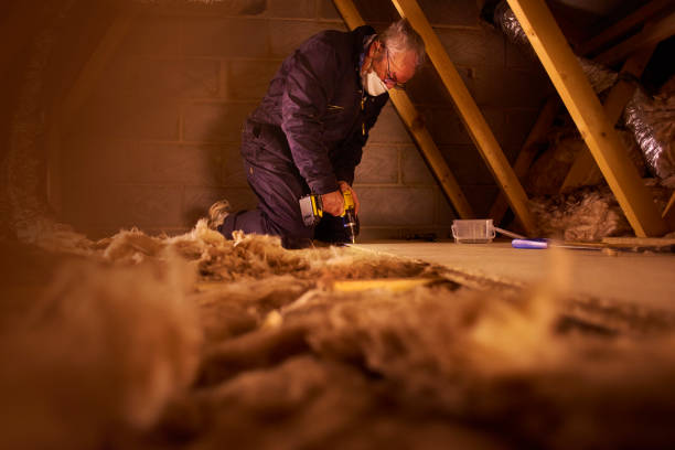 Best Insulation Maintenance and Repair in Lincolnshire, IL